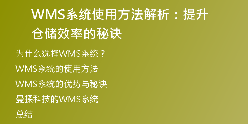 WMS系统使用方法解析：提升仓储效率的秘诀