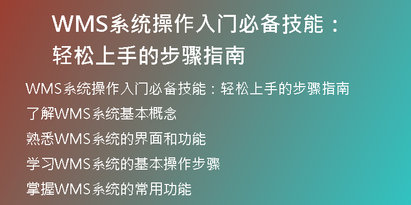WMS系统操作入门必备技能：轻松上手的步骤指南