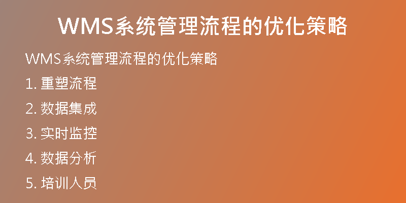 WMS系统管理流程的优化策略