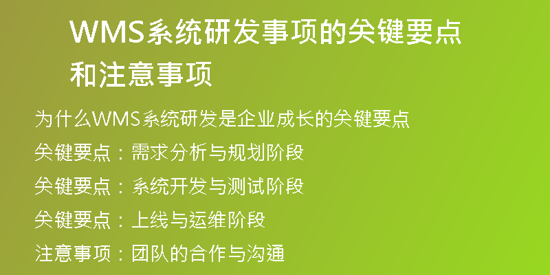 WMS系统研发事项的关键要点和注意事项
