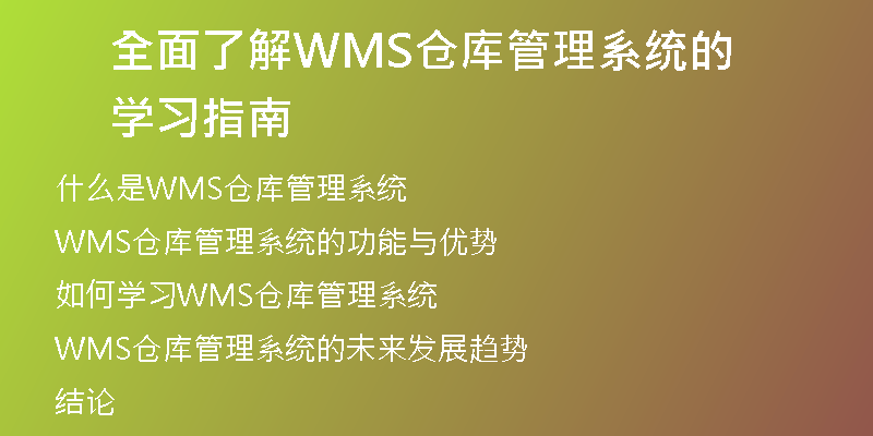 全面了解WMS仓库管理系统的学习指南