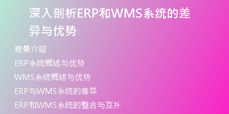 深入剖析ERP和WMS系统的差异与优势