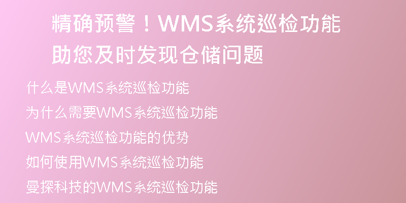 精确预警！WMS系统巡检功能助您及时发现仓储问题