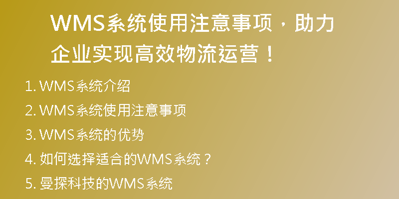 WMS系统使用注意事项，助力企业实现高效物流运营！