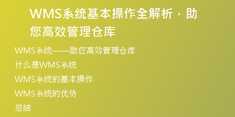 WMS系统基本操作全解析，助您高效管理仓库