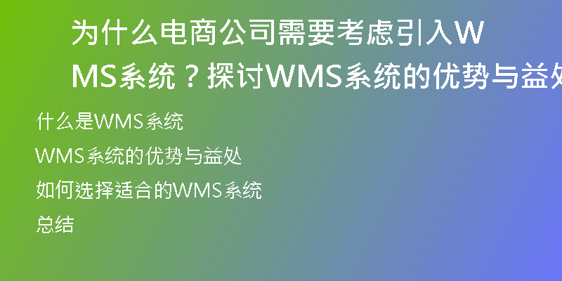 为什么电商公司需要考虑引入WMS系统？探讨WMS系统的优势与益处