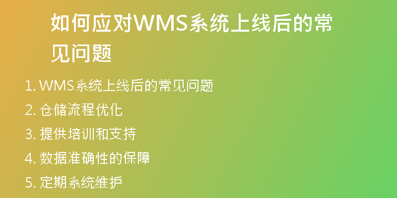 如何应对WMS系统上线后的常见问题