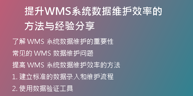 提升WMS系统数据维护效率的方法与经验分享